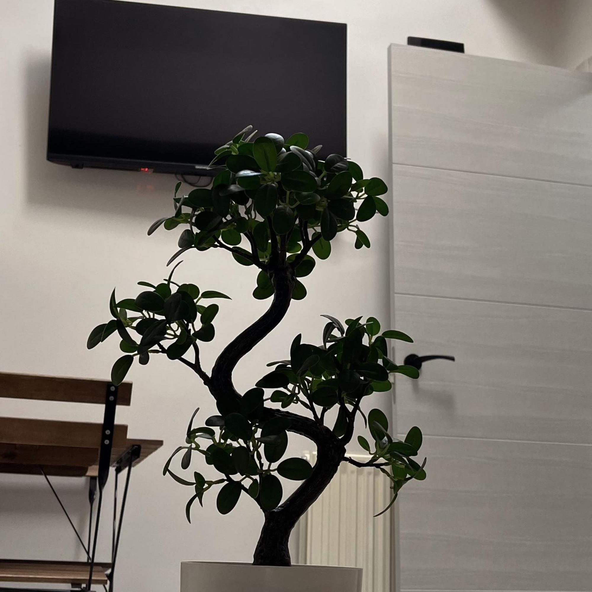 Apartamento Calera Burgo 외부 사진